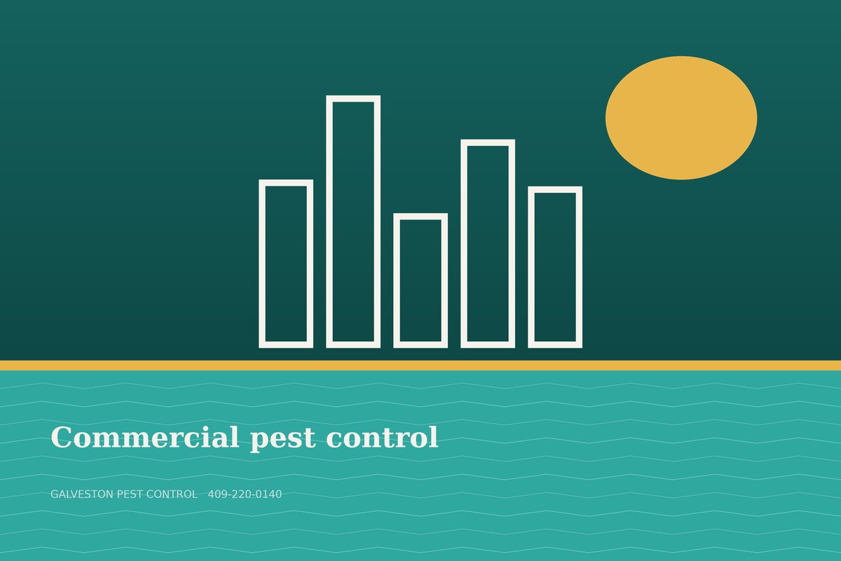 Local pest pro servicing a Galveston restaurant kitchen for commercial pest control