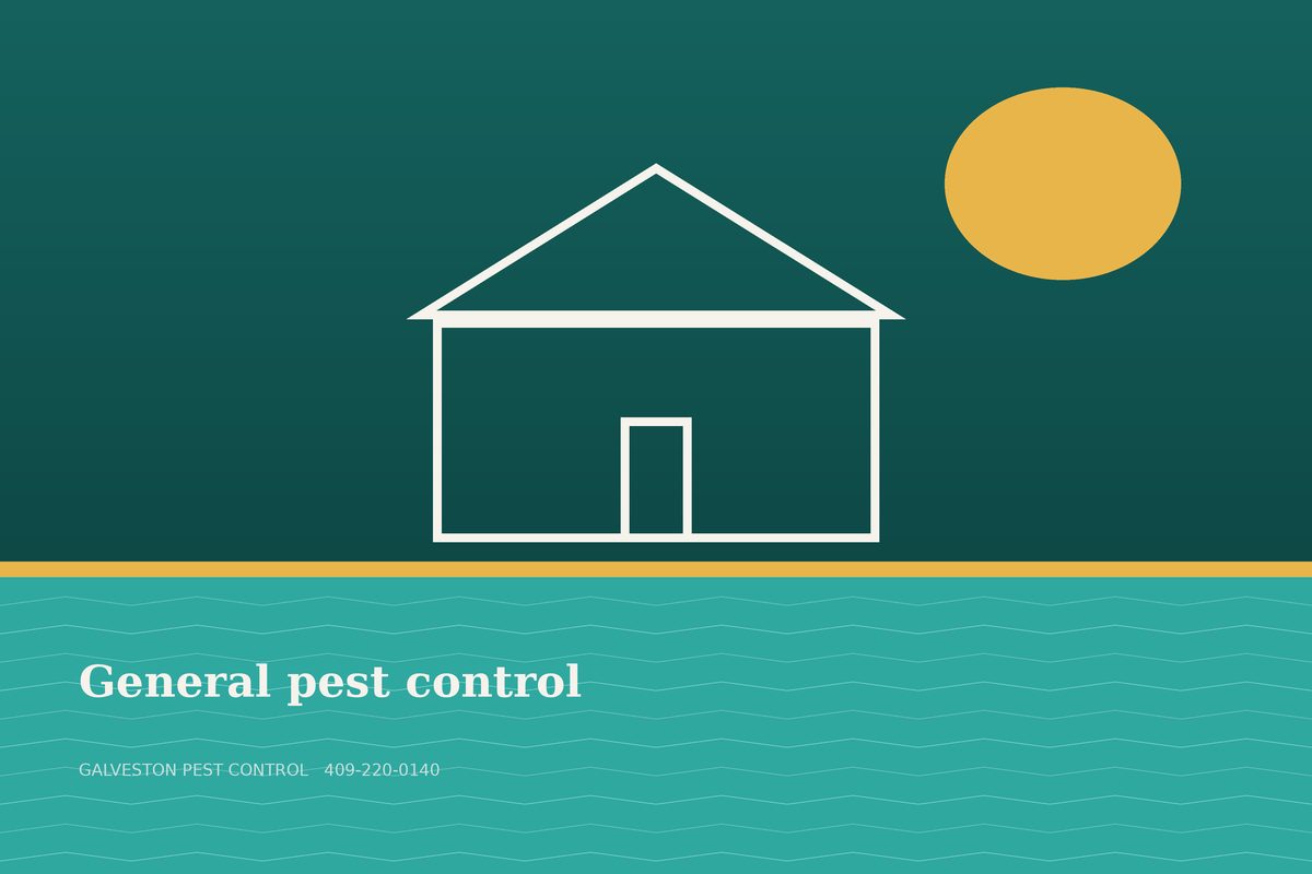 Local pest pro treating the baseboards of a Galveston home for general pest control